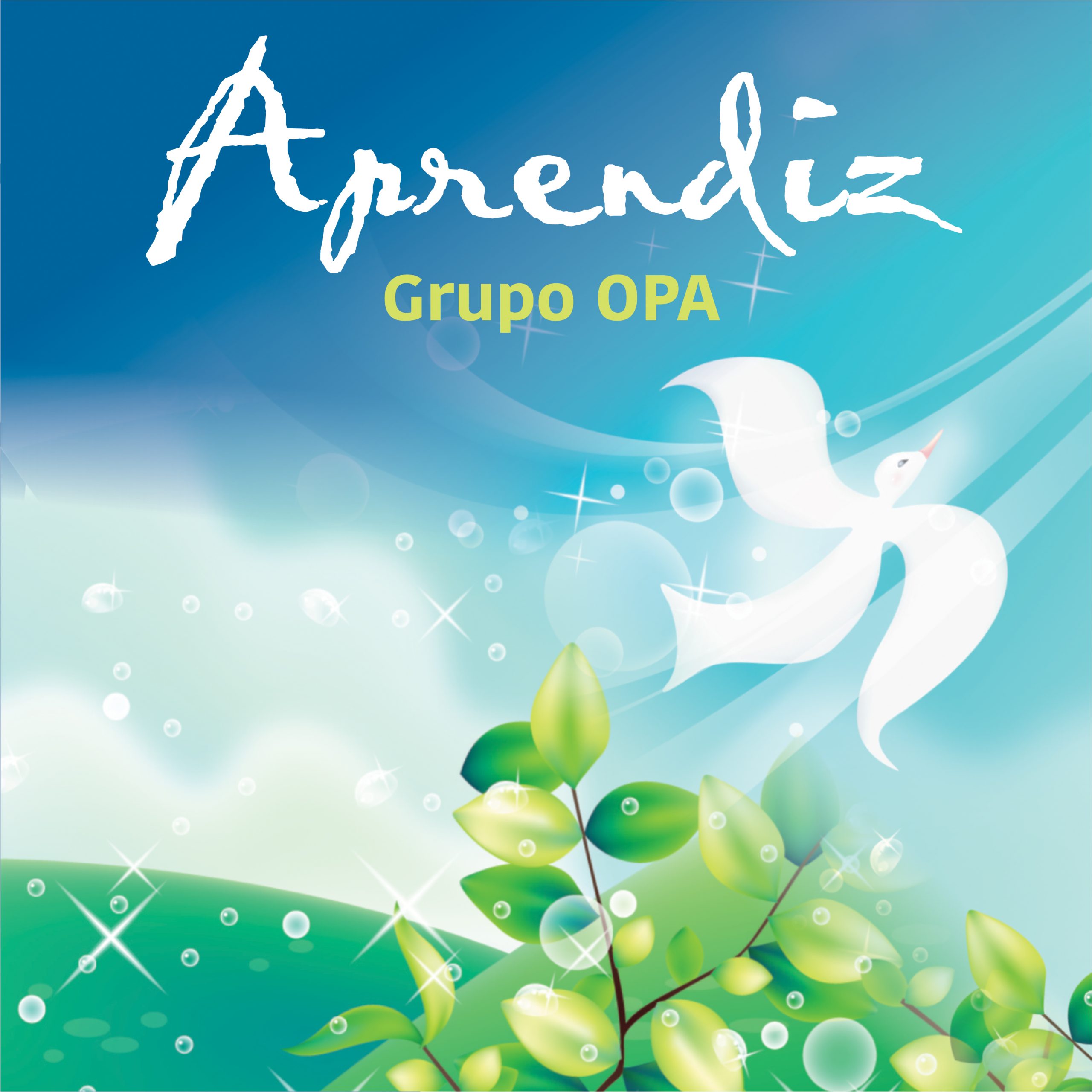 APRENDIZ